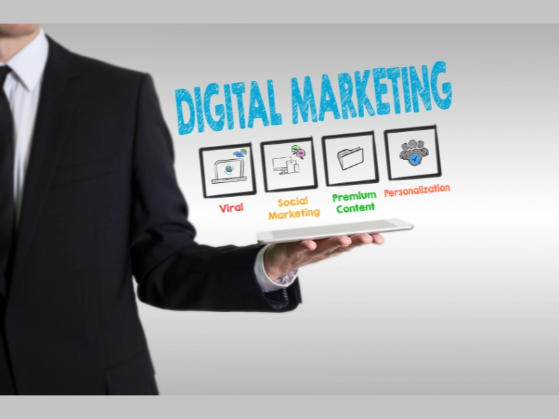 Website Development Services - Digital Leads Expert